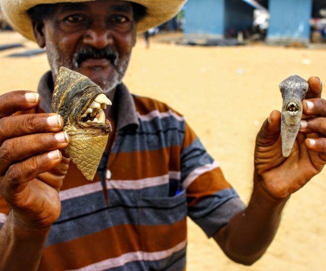 Srilanka fish